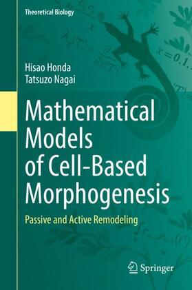 Nagai / Honda |  Mathematical Models of Cell-Based Morphogenesis | Buch |  Sack Fachmedien
