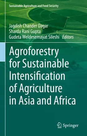 Dagar / Sileshi / Gupta |  Agroforestry for Sustainable Intensification of Agriculture in Asia and Africa | Buch |  Sack Fachmedien