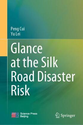 Lei / Cui |  Glance at the Silk Road Disaster Risk | Buch |  Sack Fachmedien