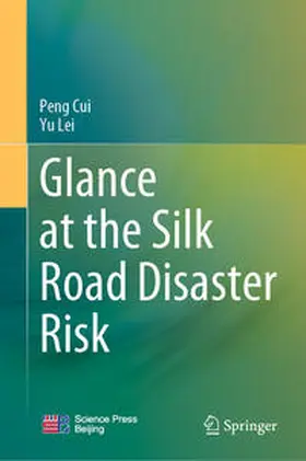 Cui / Lei | Glance at the Silk Road Disaster Risk | E-Book | sack.de