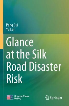 Lei / Cui |  Glance at the Silk Road Disaster Risk | Buch |  Sack Fachmedien