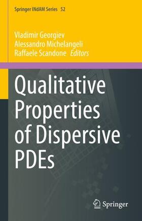 Georgiev / Scandone / Michelangeli |  Qualitative Properties of Dispersive PDEs | Buch |  Sack Fachmedien