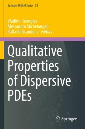 Georgiev / Scandone / Michelangeli |  Qualitative Properties of Dispersive PDEs | Buch |  Sack Fachmedien