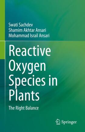 Sachdev / Ansari |  Reactive Oxygen Species in Plants | Buch |  Sack Fachmedien