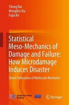 Bai / Ke / Xia |  Statistical Meso-Mechanics of Damage and Failure: How Microdamage Induces Disaster | Buch |  Sack Fachmedien