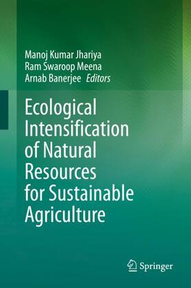 Jhariya / Banerjee / Meena |  Ecological Intensification of Natural Resources for Sustainable Agriculture | Buch |  Sack Fachmedien