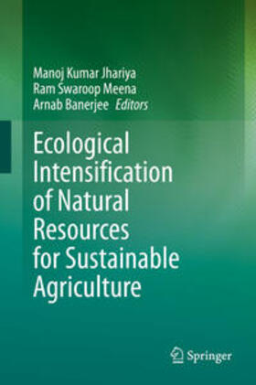 Jhariya / Meena / Banerjee |  Ecological Intensification of Natural Resources for Sustainable Agriculture | eBook | Sack Fachmedien