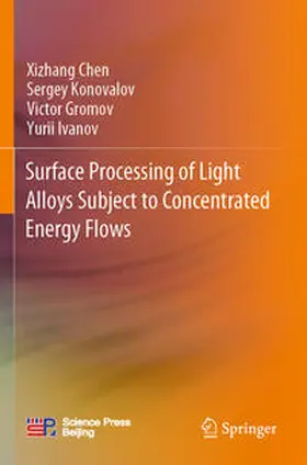 Chen / Ivanov / Konovalov |  Surface Processing of Light Alloys Subject to Concentrated Energy Flows | Buch |  Sack Fachmedien