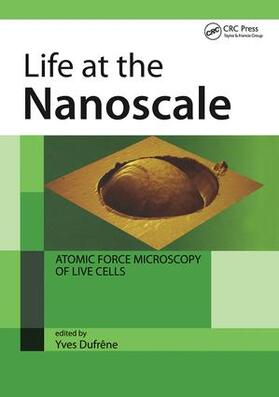 Dufrene |  Life at the Nanoscale | Buch |  Sack Fachmedien
