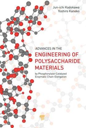 Kadokawa / Kaneko |  Advances in the Engineering of Polysaccharide Materials | Buch |  Sack Fachmedien