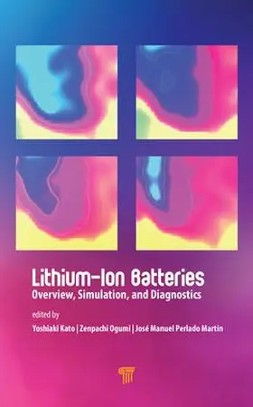 Kato / Ogumi / Perlado Martín |  Lithium-Ion Batteries | Buch |  Sack Fachmedien