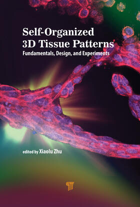 Zhu / Wang |  Self-Organized 3D Tissue Patterns | Buch |  Sack Fachmedien