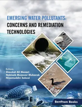 Ali Mazari / Mubarak / Sabzoi |  Emerging Water Pollutants: Concerns and Remediation Technologies | eBook | Sack Fachmedien