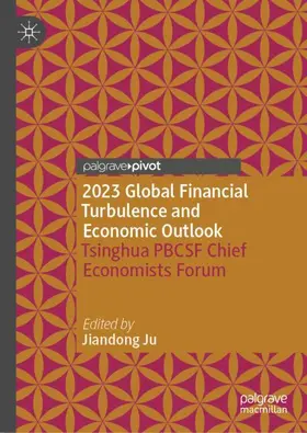 Ju |  2023 Global Financial Turbulence and Economic Outlook | Buch |  Sack Fachmedien