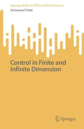 Trélat |  Control in Finite and Infinite Dimension | Buch |  Sack Fachmedien