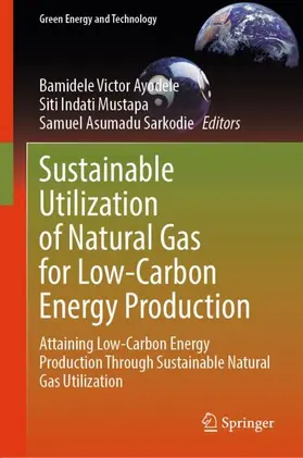 Ayodele / Sarkodie / Mustapa |  Sustainable Utilization of Natural Gas for Low-Carbon Energy Production | Buch |  Sack Fachmedien