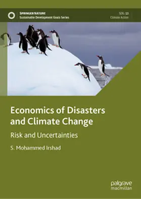 Irshad |  Economics of Disasters and Climate Change | Buch |  Sack Fachmedien