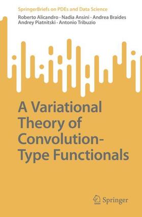 Alicandro / Ansini / Tribuzio |  A Variational Theory of Convolution-Type Functionals | Buch |  Sack Fachmedien