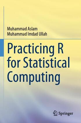 Imdad Ullah / Aslam |  Practicing R for Statistical Computing | Buch |  Sack Fachmedien