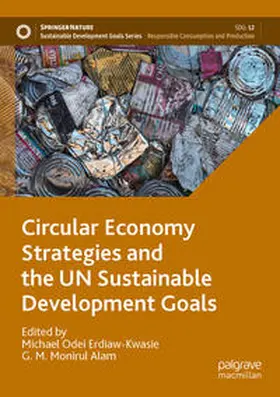 Alam / Erdiaw-Kwasie | Circular Economy Strategies and the UN Sustainable Development Goals | Buch | 978-981-99-3085-2 | sack.de