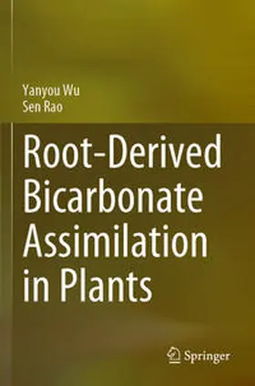 Rao / Wu |  Root-Derived Bicarbonate Assimilation in Plants | Buch |  Sack Fachmedien