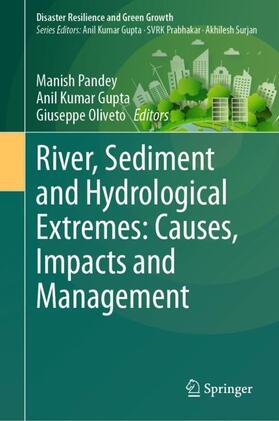 Pandey / Oliveto / Gupta |  River, Sediment and Hydrological Extremes: Causes, Impacts and Management | Buch |  Sack Fachmedien