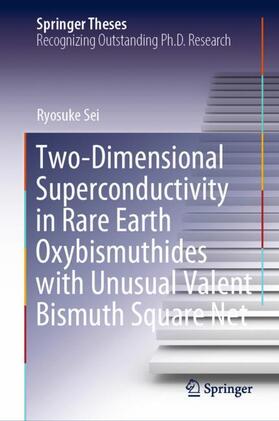 Sei |  Two-Dimensional Superconductivity in Rare Earth Oxybismuthides with Unusual Valent Bismuth Square Net | Buch |  Sack Fachmedien